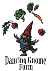 dancing-gnome-farm-logo