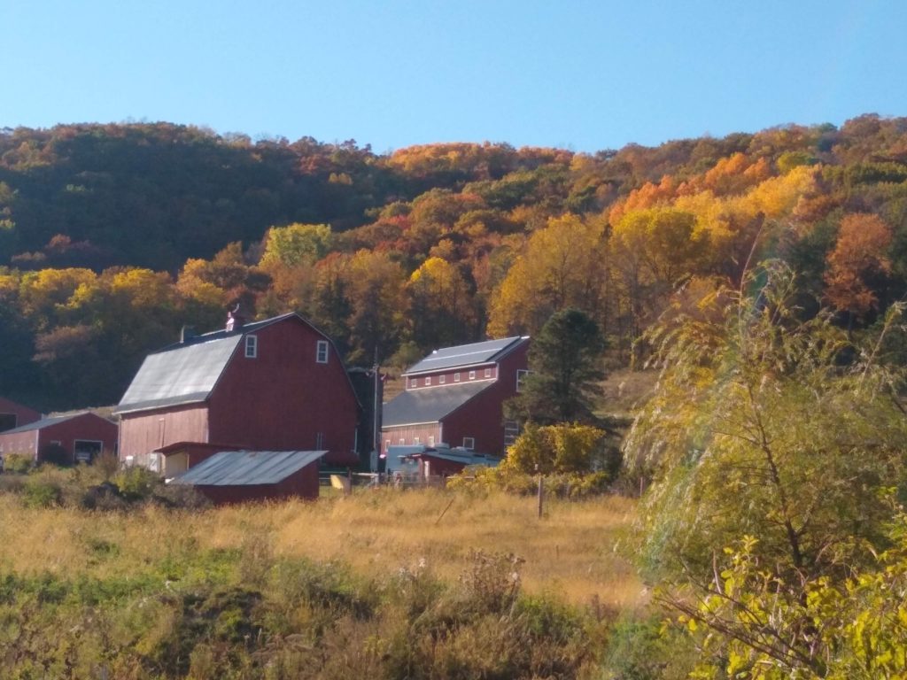 farm-and-barn-in-fall