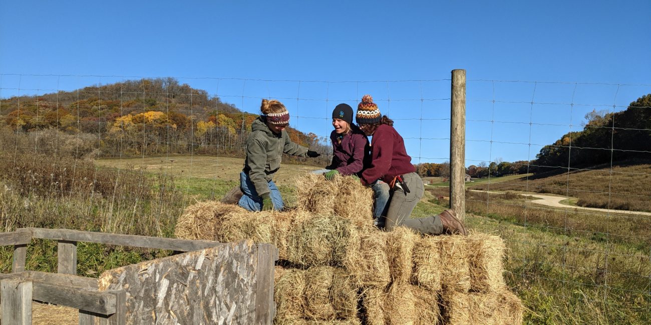 farm-crew-climbing-on-stack-of-straw-bales