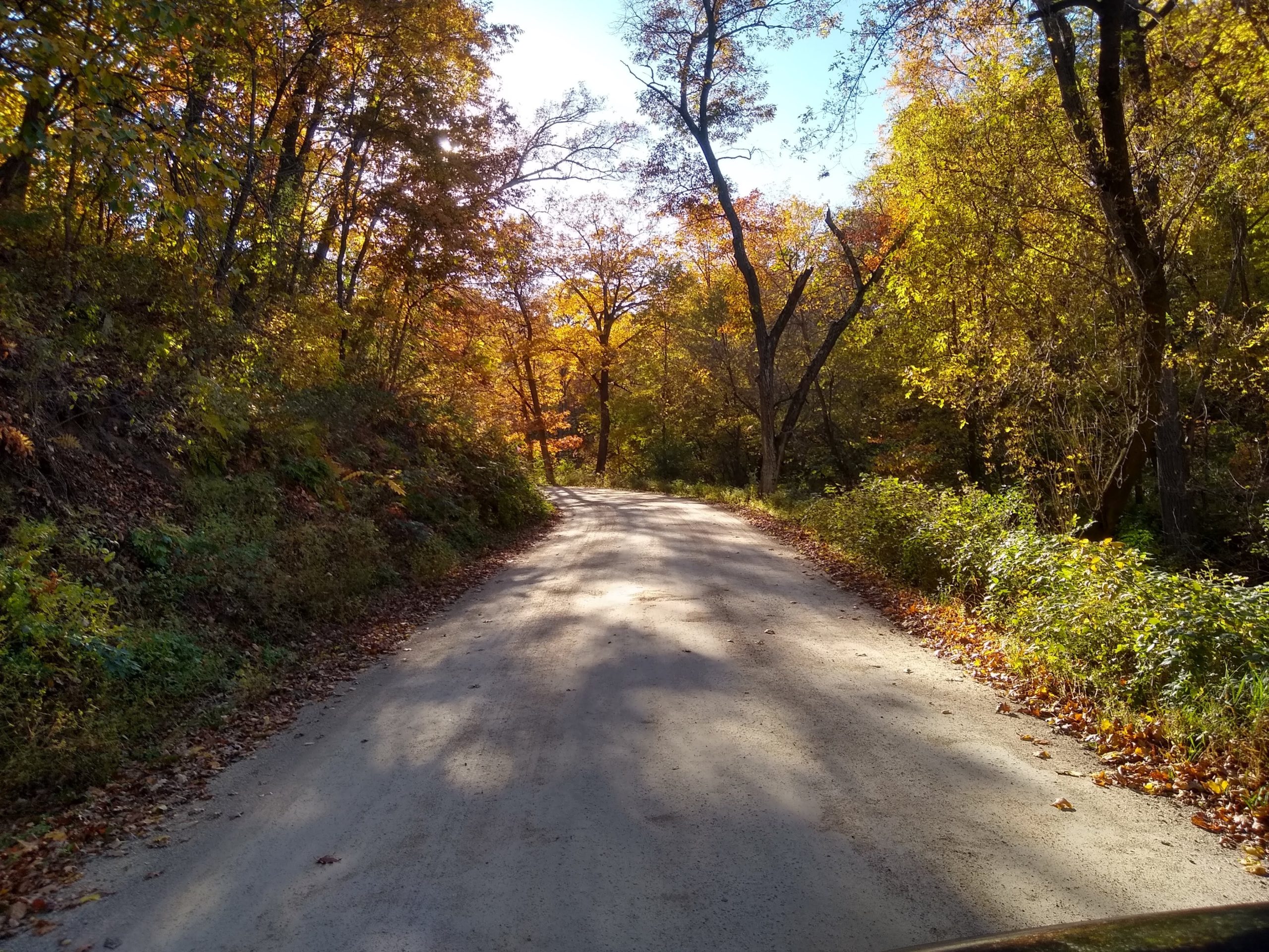 farm-road-in-fall-colors