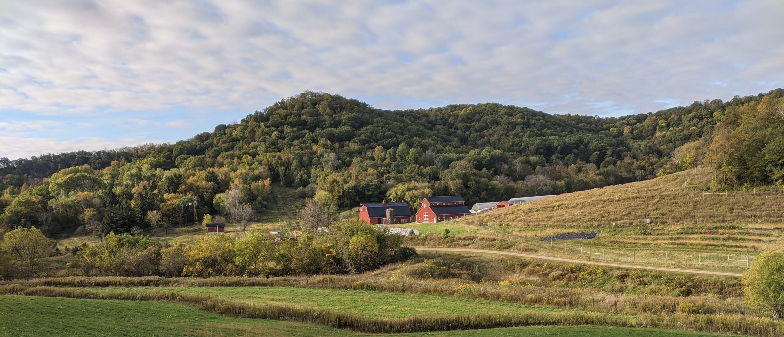 view-of-farm-from-alfalfa-field